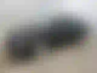 Vehicle Image- 2023 Chevrolet Malibu