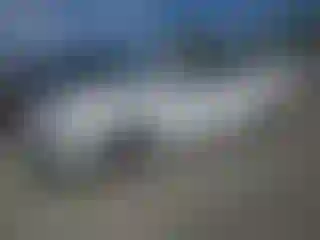 Vehicle Image- 2023 Chevrolet Malibu