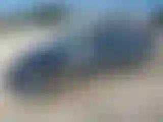 Vehicle Image- 2019 Chevrolet Malibu