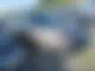Vehicle Image- 2020 Chevrolet Malibu