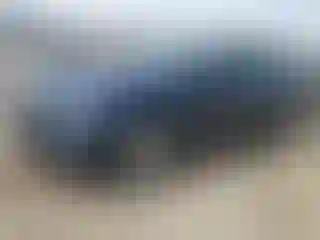 Vehicle Image- 2021 Chevrolet Malibu