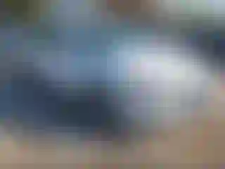 Vehicle Image- 2023 Chevrolet Malibu
