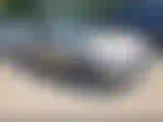 Vehicle Image- 2024 Chevrolet Malibu