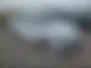 Vehicle Image- 2019 Chevrolet Malibu