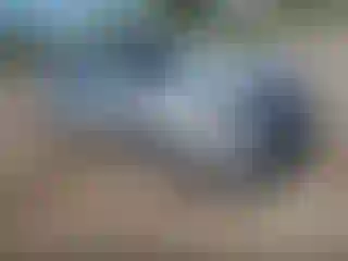 Vehicle Image- 2020 Chevrolet Malibu