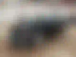 Vehicle Image- 2021 Chevrolet Malibu