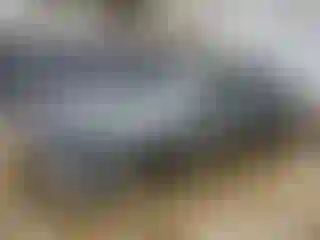 Vehicle Image- 2024 Chevrolet Malibu