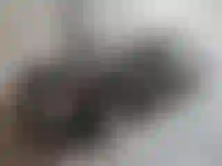 Vehicle Image- 2023 Chevrolet Malibu