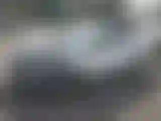 Vehicle Image- 2023 Chevrolet Malibu