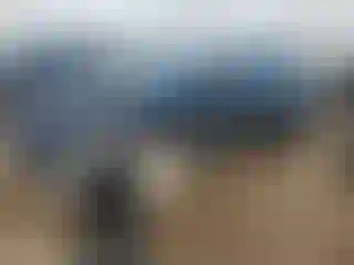 Vehicle Image- 2023 Chevrolet Malibu