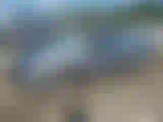 Vehicle Image- 2024 Chevrolet Malibu