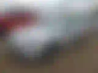 Vehicle Image- 2018 Chevrolet Malibu