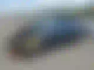 Vehicle Image- 2019 Chevrolet Malibu