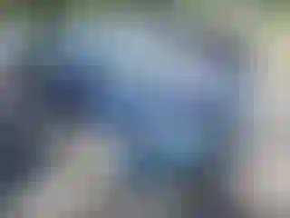 Vehicle Image- 2019 Chevrolet Malibu