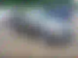 Vehicle Image- 2020 Chevrolet Malibu
