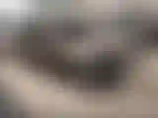 Vehicle Image- 2020 Chevrolet Malibu