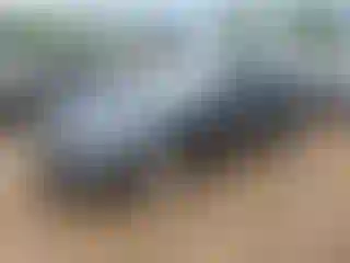 Vehicle Image- 2020 Chevrolet Malibu