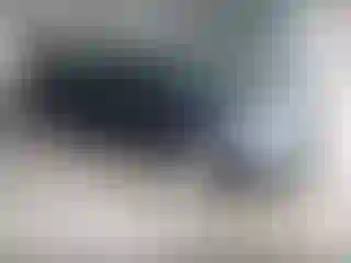 Vehicle Image- 2021 Chevrolet Malibu