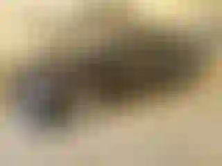 Vehicle Image- 2023 Chevrolet Malibu