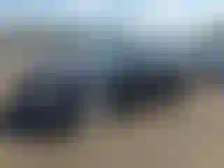 Vehicle Image- 2018 Chevrolet Malibu