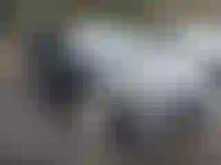 Vehicle Image- 2018 Chevrolet Malibu