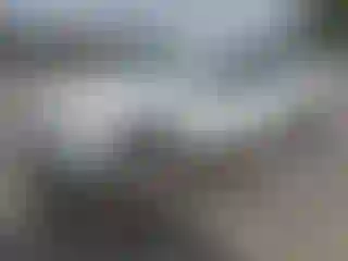 Vehicle Image- 2019 Chevrolet Malibu