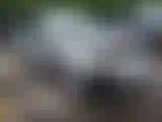 Vehicle Image- 2022 Chevrolet Malibu