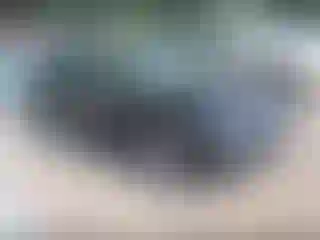 Vehicle Image- 2023 Chevrolet Malibu