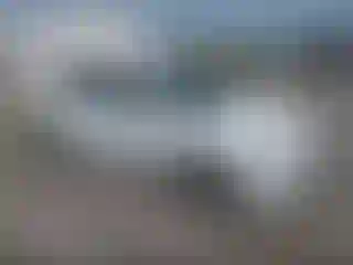 Vehicle Image- 2016 Chevrolet Malibu