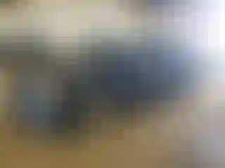 Vehicle Image- 2016 Chevrolet Malibu