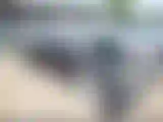 Vehicle Image- 2016 Chevrolet Malibu