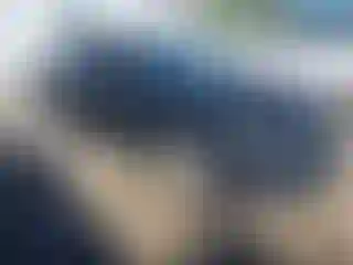 Vehicle Image- 2016 Chevrolet Malibu