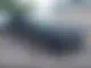 Vehicle Image- 2017 Chevrolet Malibu