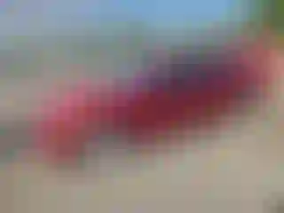 Vehicle Image- 2017 Chevrolet Malibu