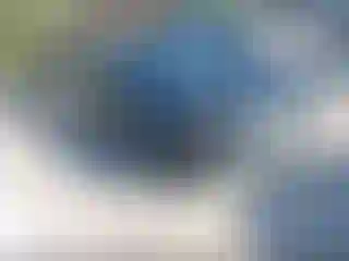 Vehicle Image- 2016 Chevrolet Malibu