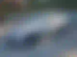 Vehicle Image- 2016 Chevrolet Malibu