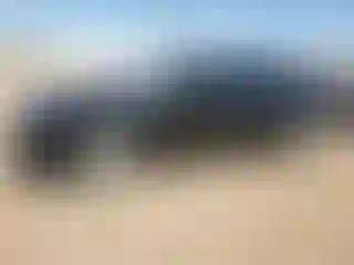 Vehicle Image- 2016 Chevrolet Malibu