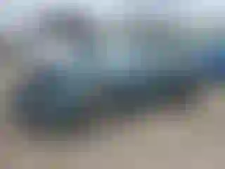 Vehicle Image- 2009 Chevrolet Malibu