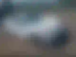 Vehicle Image- 2019 Chevrolet Malibu