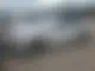 Vehicle Image- 2022 Chevrolet Malibu