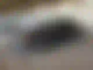 Vehicle Image- 2021 Chevrolet Malibu