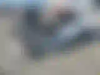 Vehicle Image- 2019 Chevrolet Malibu