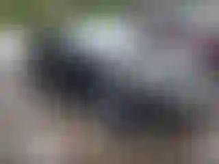 Vehicle Image- 2022 Chevrolet Malibu