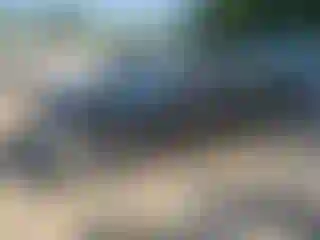 Vehicle Image- 2024 Chevrolet Malibu