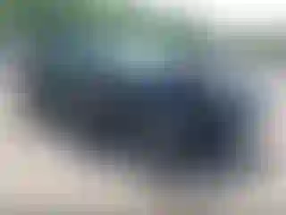 Vehicle Image- 2024 Chevrolet Malibu