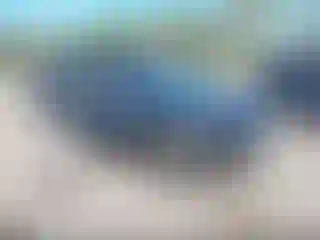 Vehicle Image- 2020 Chevrolet Malibu