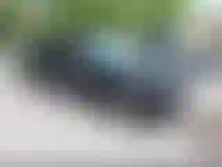 Vehicle Image- 2019 Chevrolet Malibu