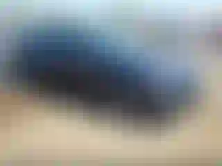Vehicle Image- 2023 Chevrolet Malibu