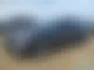 Vehicle Image- 2019 Chevrolet Malibu