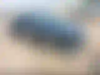 Vehicle Image- 2020 Chevrolet Malibu